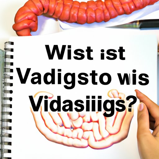 VI. Gastrointestinal Diseases: What You Need to Know