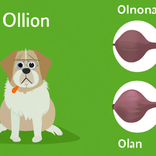 How to Recognize if Your Dog Has Eaten Onions Top Symptoms of Onion